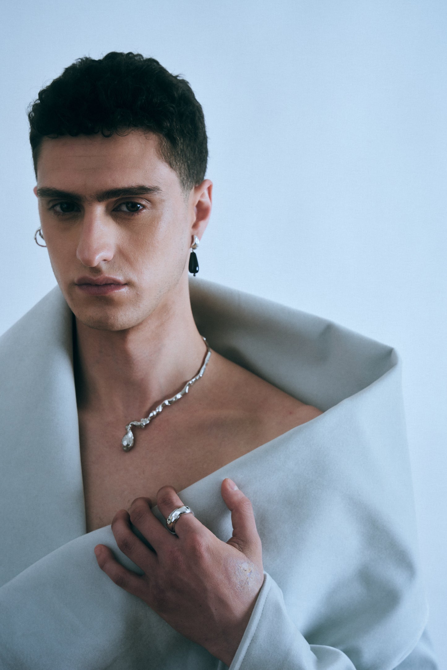 Collar Fenix plata